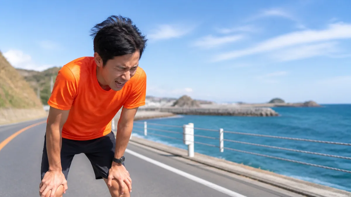 「平坦な海沿い」と思って走ると必ず失速するの解説画像